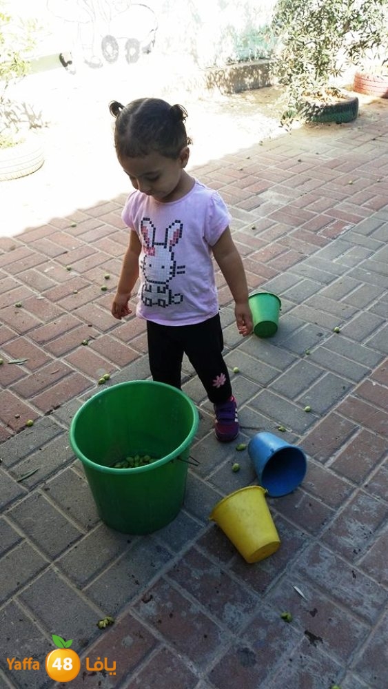 alkeram zatoon3 (10).jpg